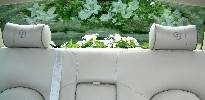 Flowers on the rear shelf